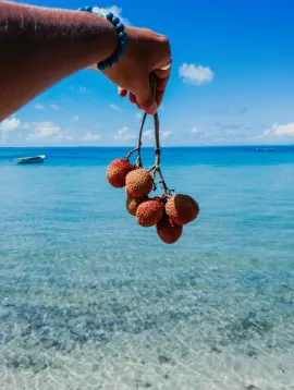 Man holding fresh litchis in his hands on the beach