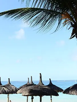 Veranda Palmar